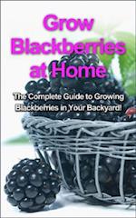 Grow Blackberries at Home : The complete guide to growing blackberries in your backyard!