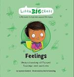 Feelings: Understanding different feelings and emotions 