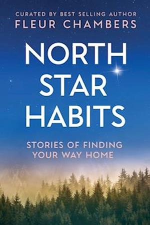 North Star Habits