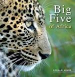Big five of Africa