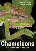 Chameleons of Southern Africa