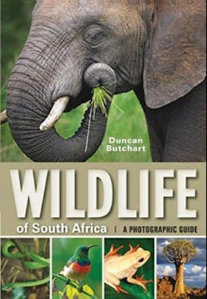 Wildlife of South Africa