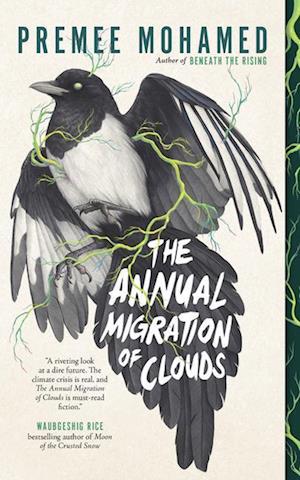 The Annual Migration Of Clouds