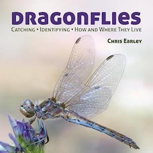 Dragonflies: Hunting - Identifying - How and Where They Live
