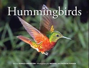 Hummingbirds