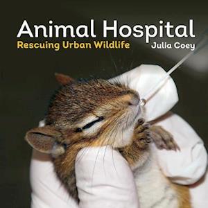 Animal Hospital