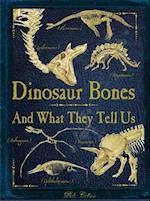 Dinosaur Bones