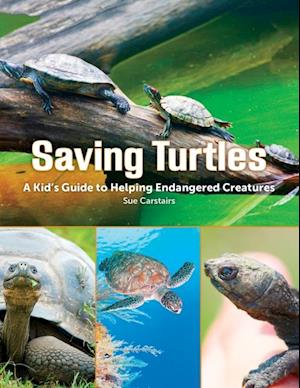 Saving Turtles