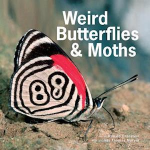 Weird Butterflies and Moths