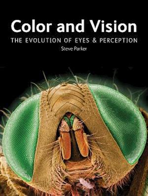 Color and Vision
