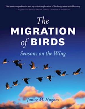 Migration of Birds