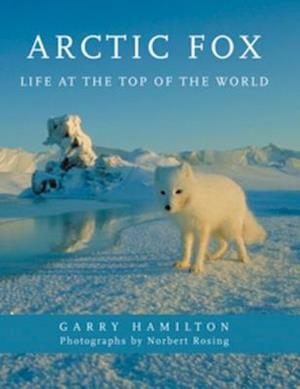 Arctic Fox : Life at the Top of the World