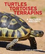 Turtles, Tortoises and Terrapins : A Natural History