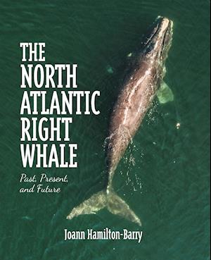 The North Atlantic Right Whale: Past, Present, and Future