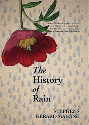 The History of Rain