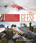Modern Homesteader's Guide to Keeping Geese