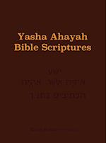 Yasha Ahayah Bible Scriptures (Yabs) Study Bible