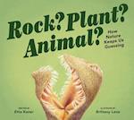 Rock? Plant? Animal?