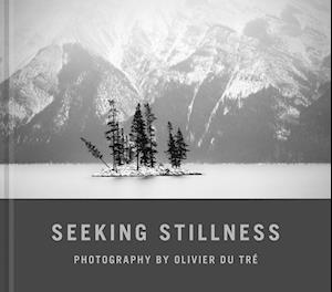 Seeking Stillness