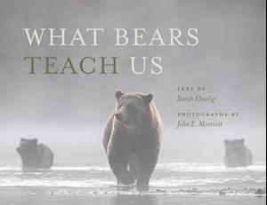 What Bears Teach Us