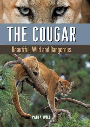 Cougar