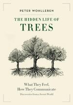 Hidden Life of Trees