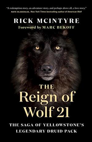 Reign of Wolf 21