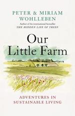 Our Little Farm : Adventures in Sustainable Living 