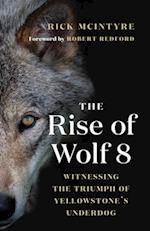 The Rise of Wolf 8 : Witnessing the Triumph of Yellowstone's Underdog 