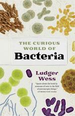 Curious World of Bacteria
