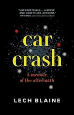 Car Crash : A Memoir of the Aftermath 