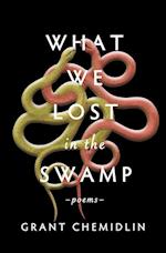 What We Lost in the Swamp