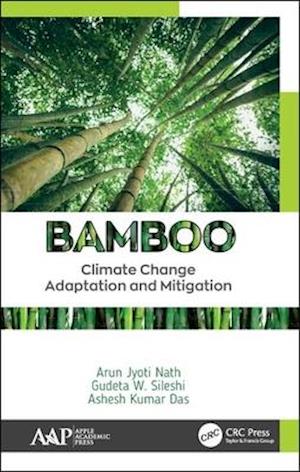 Bamboo