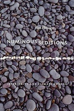 Numinous Seditions