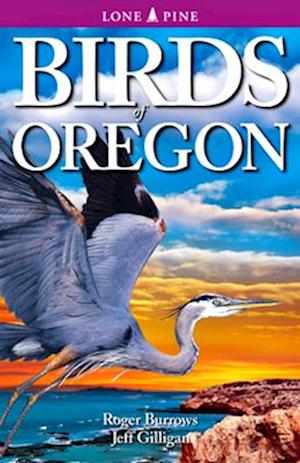 Burrows, R: Birds of Oregon