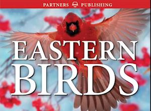 Eastern Birds