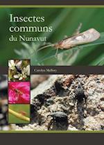 Insectes communs du Nunavut