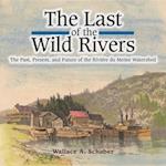 The Last of the Wild Rivers : The Past, Present, and Future of the Riviere du Moine Watershed