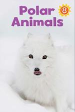 Polar Animals Big Book (English)