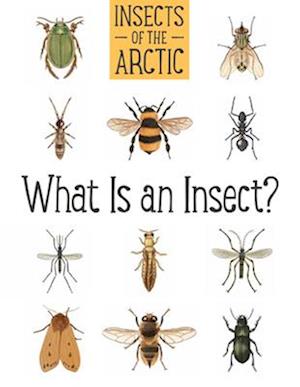 Insects of the Arctic (English)