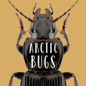 Arctic Bugs (English)