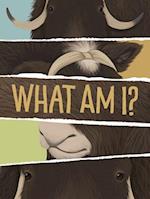 What Am I? (English)
