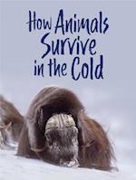 How Animals Survive in the Cold (English)