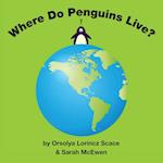 Where Do Penguins Live?