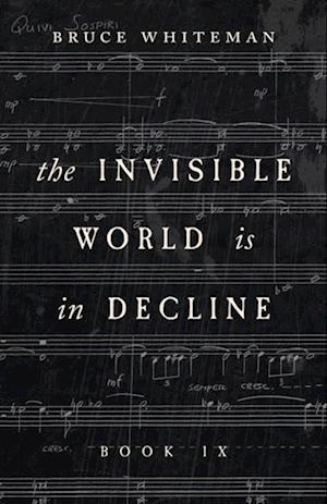 Invisible World Is in Decline Book IX