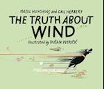 The Truth About Wind