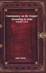 Commentary on the Gospel According to John