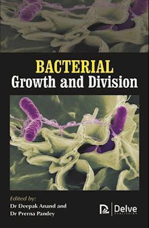 Bacterial Growth and Division