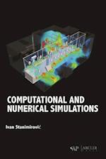 Computational and Numerical Simulations