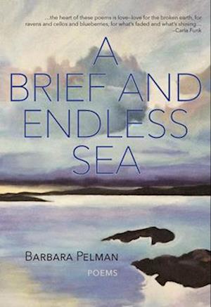 A Brief and Endless Sea